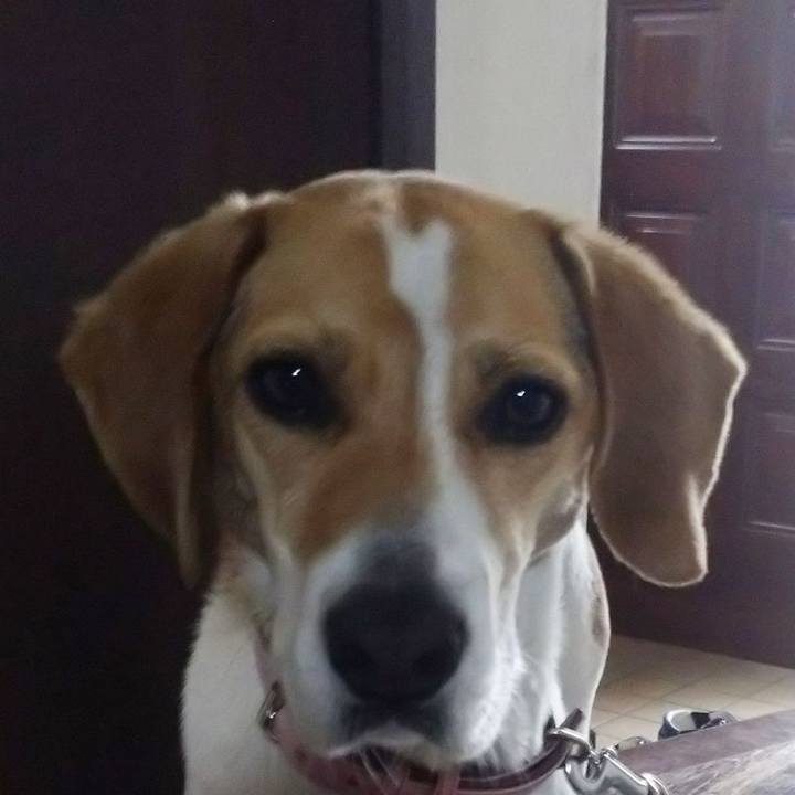 B15b959a d51a 43d6 868b b70f40d3832c 1589284105086