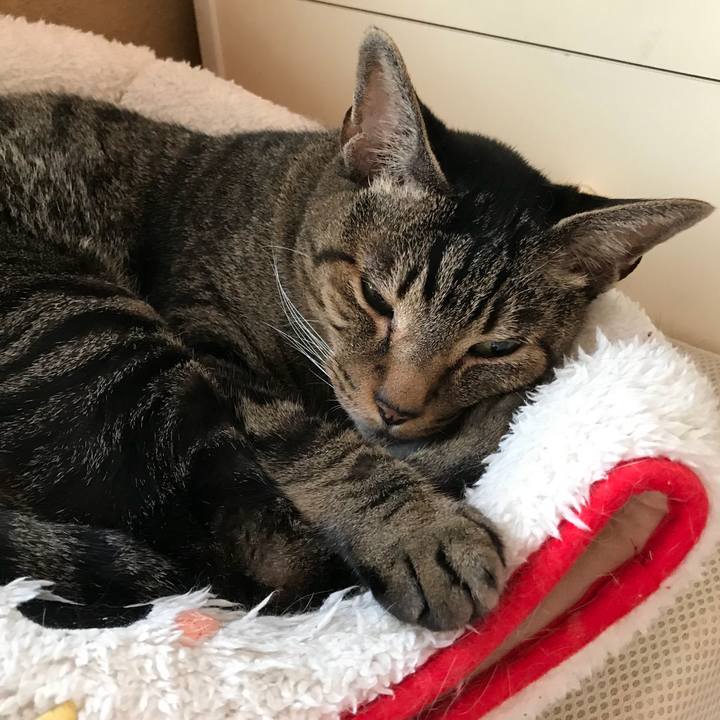 B15bb61c c28c 4e8a 9d64 befcd1b2f9cf 1533947748782