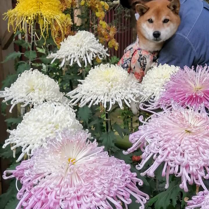 B15bcf37 b4e5 43e9 ba44 aed5a5da2383 1606043847038