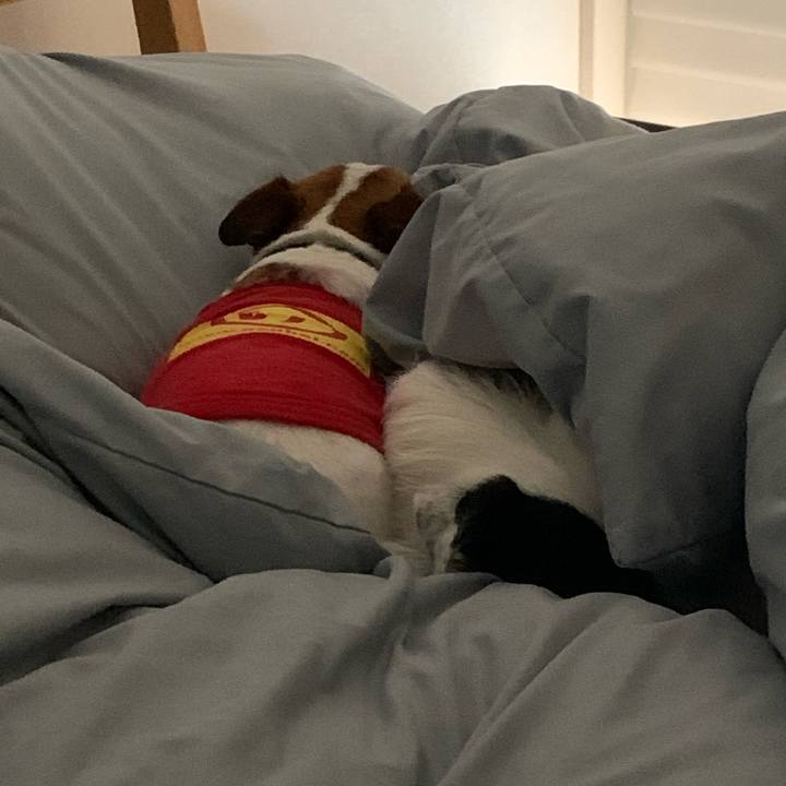 B15c8e35 c72c 46c1 a437 c771d31e5aeb 1585408303164