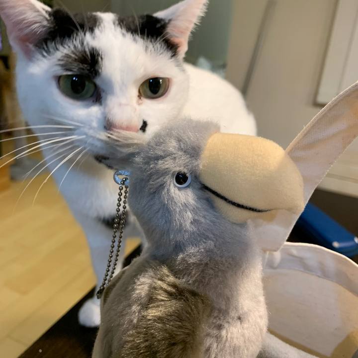 B15cd797 9f58 49ef baa0 9e00d2c7c55c 1638568624179