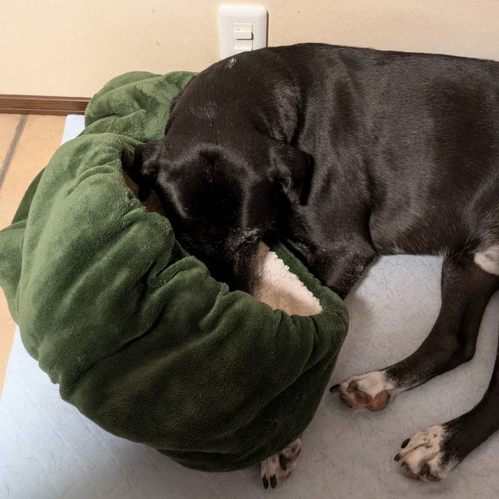 B15cdaa4 3a13 4278 9eb2 e012a0370bc2 1760917577782