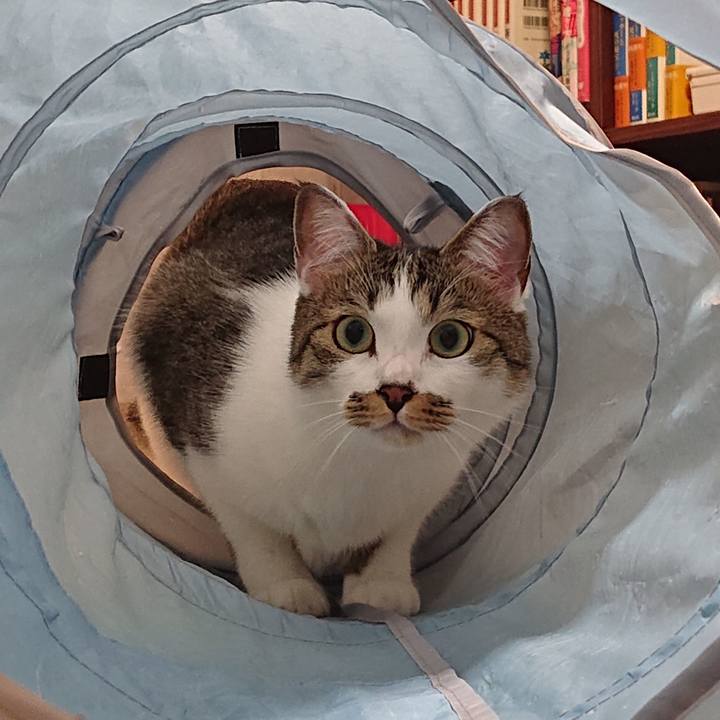 B15cf05e e575 42b1 bbc9 c8226e5c186c 1621907641861