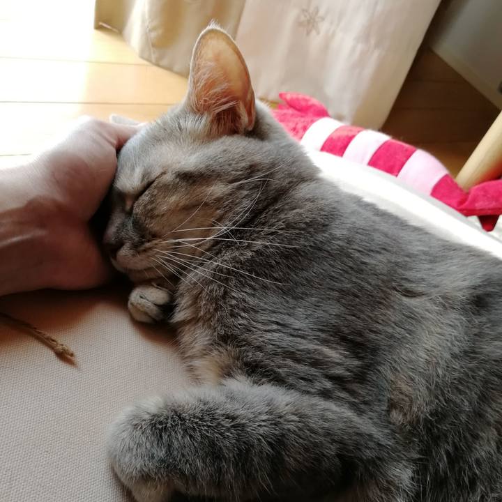 B15d1761 3414 46c8 8cc1 d2acf4def049 1528524754442