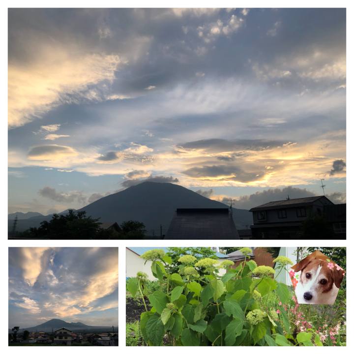 B15d46b3 f8e8 4b1e a979 d9bf3b034769 1530182827135