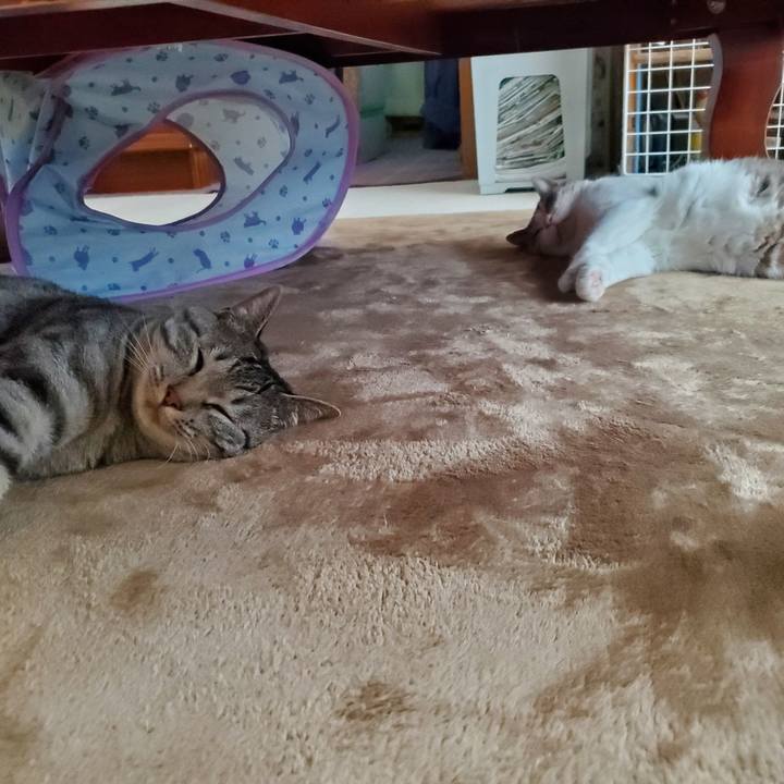 B15d46b4 f4b2 4515 a511 4d0e1ff33848 1717557039624