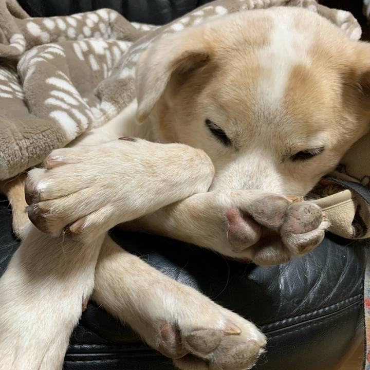 B15d67c2 18a9 4eff 8b08 788776478680 1640601110254