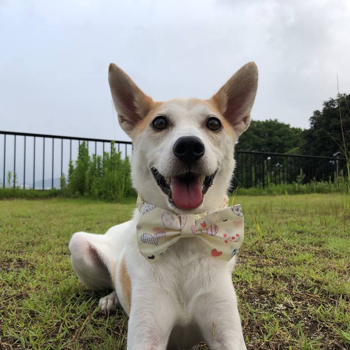 B15d70fd c846 433e 90df ff7d6a031764 1596798667032