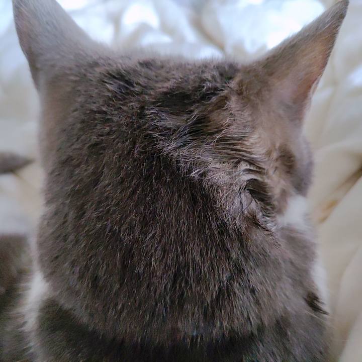 B15d7bd1 5973 49e2 9809 492e8c3f83cd 1717640572293