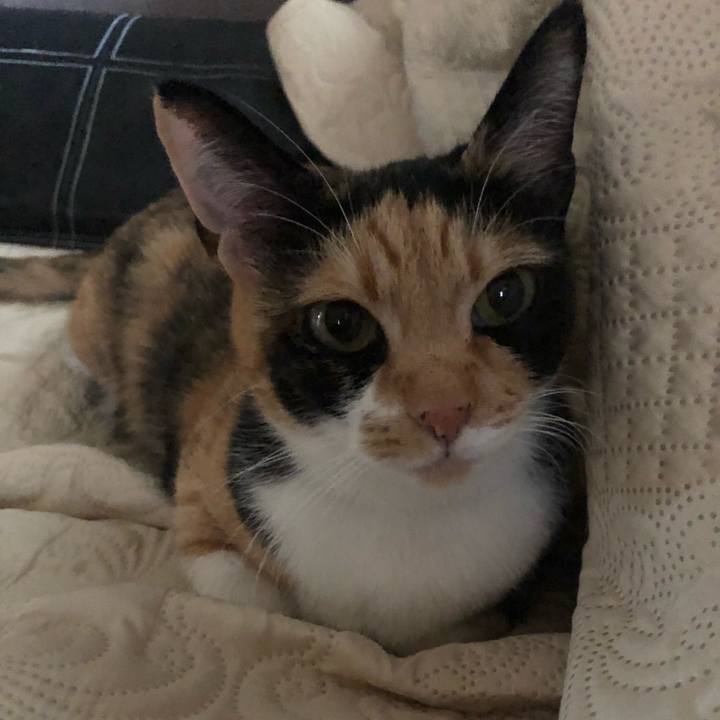 B15d82b6 d498 4dd0 a10d 42d677deed40 1575241279710