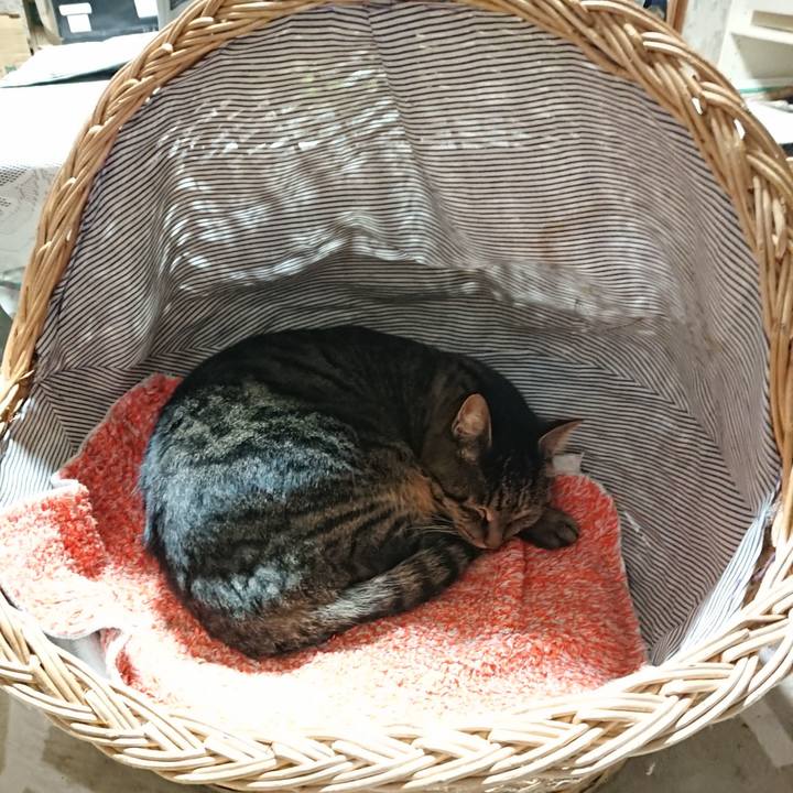 B15dcc62 0f64 4da8 9ea4 fa42baccc08e 1640001288731