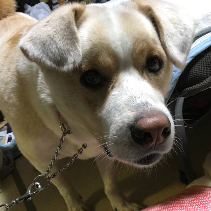 B15e08d0 e97f 452d 9263 74f0965437d5 1509015977366