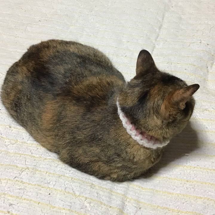 B15e1517 2fea 474d 9743 52b29076a213 1751631553795