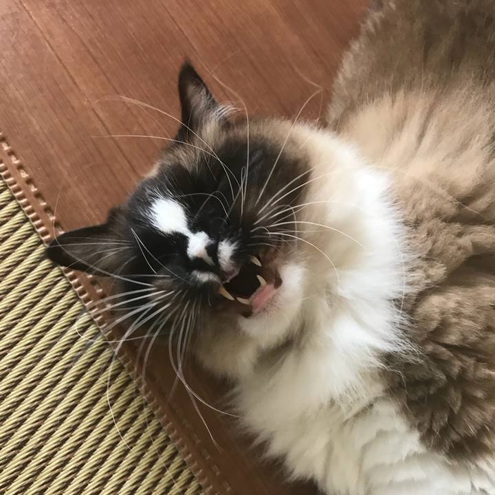 B15e8ab9 bd6f 44d4 8f4b c77fa5caf6f0 1521285404836