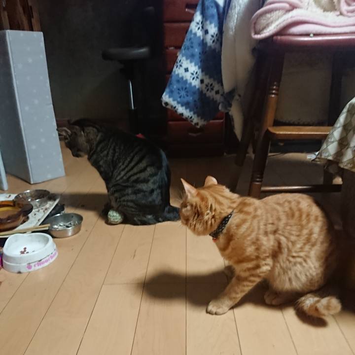 B15eaf40 ff7e 4d21 ae64 e0f139b41d48 1643402934976