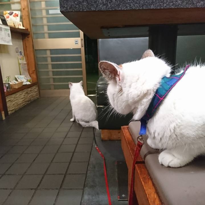 B15ef9cc 4885 4a5c 81b7 7a5c1c6755fc 1561725010081