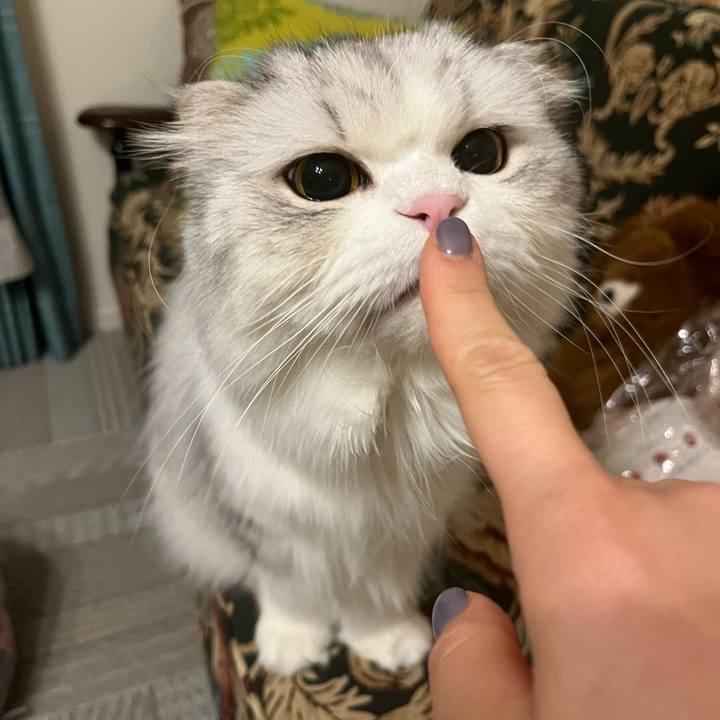 B15efc2c 221e 4a5b a257 773796e1a2f1 1735907315549