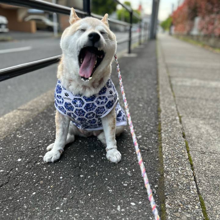 B15f0239 af80 4b6a acca 5bd900770e24 1745740955759