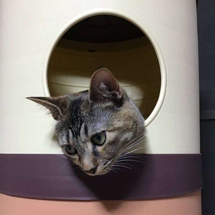 B15f1fde e51f 4f36 8033 442f23fb3c51 1657373076538