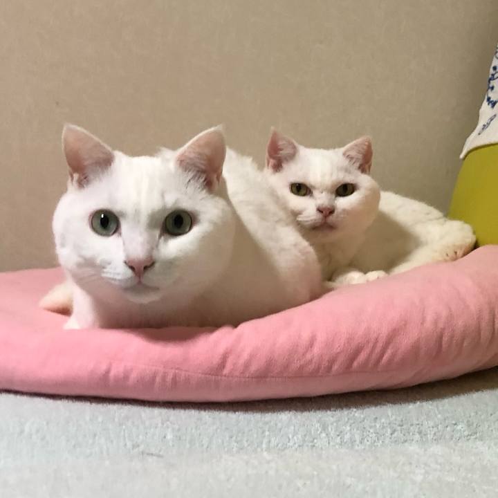 B15f2240 f8be 423e b1a4 ce9600765500 1572155801588