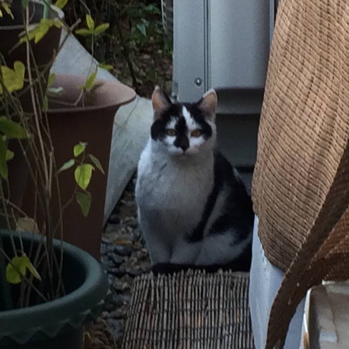 B15f2c25 2db9 46f7 b141 4b32f4c7ab60 1573129844970