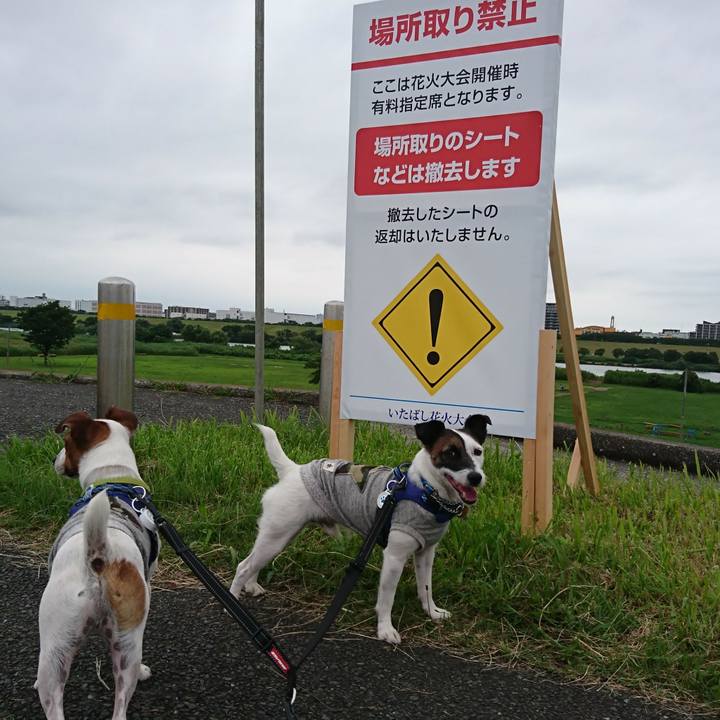 B15f4854 3c74 4fb6 ac1d 4526ecfa3e57 1563184163944