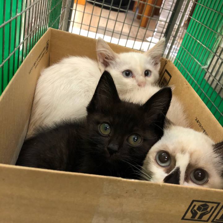 B15f52d3 99e7 4ef4 b8b9 0750a9d52767 1658497380232