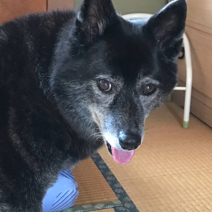 B15f87df 44dd 458d a189 ae3fc5998da3 1567209149735