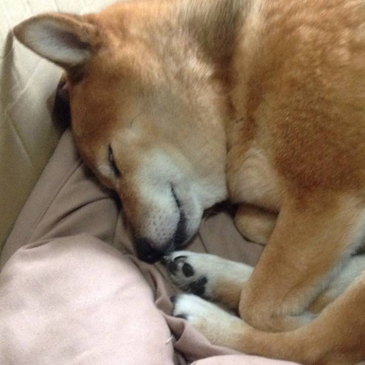 B15f9fec b8be 4b42 8718 ca8026f18df7 1537076567521