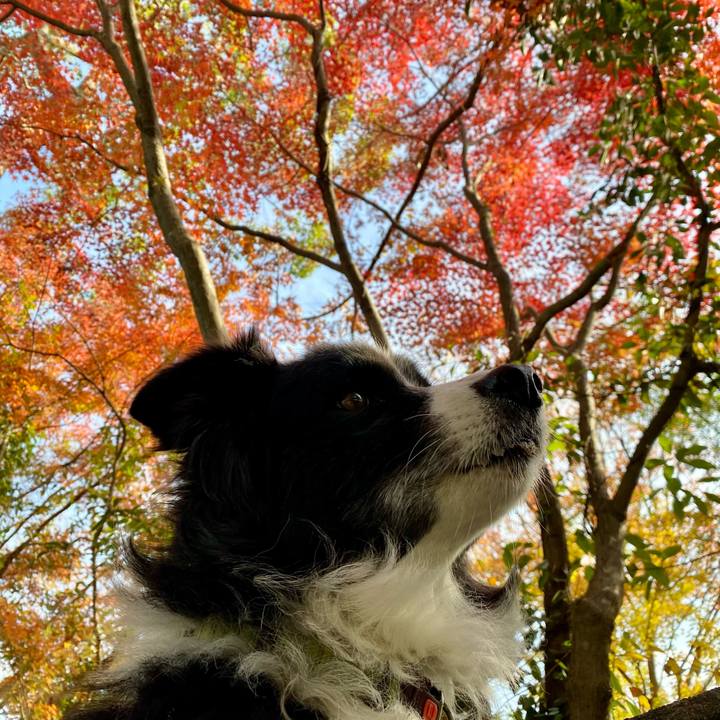 B15fa171 05bc 4f50 8a92 849eb897a3b5 1637194440141