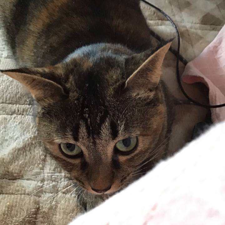 B15fbad7 c891 4dae b68d f8c1b292f63b 1670200436775