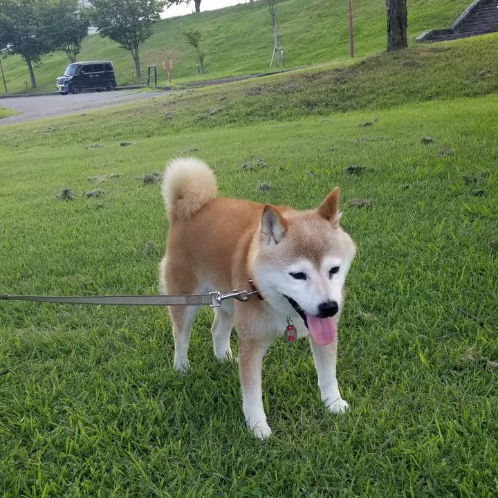 B15fd0f0 11e9 4ba0 8629 19232b8f1b12 1689496264533