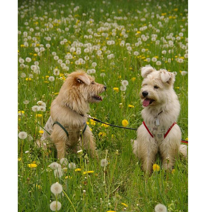 B15fd427 4372 4f42 b63b 033af5d0c37e 1543538033320