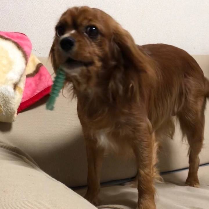 B16025db d8dd 4472 9c0f dadf8c3af78d 1544185487316