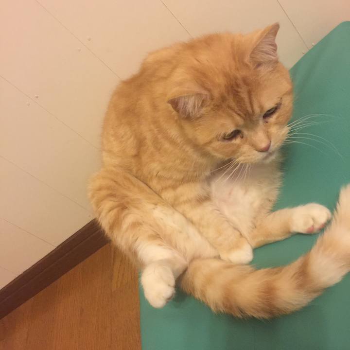 B16079b3 d858 4cd8 b597 b42220e60d8e 1554992551760