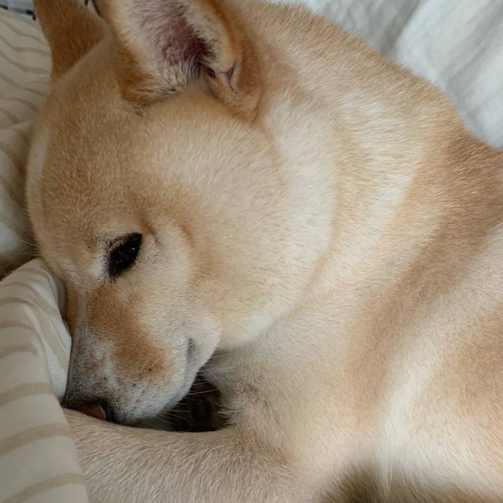 B1607e6c 0cfe 436b 8c46 40ca2aab30bc 1631155315476