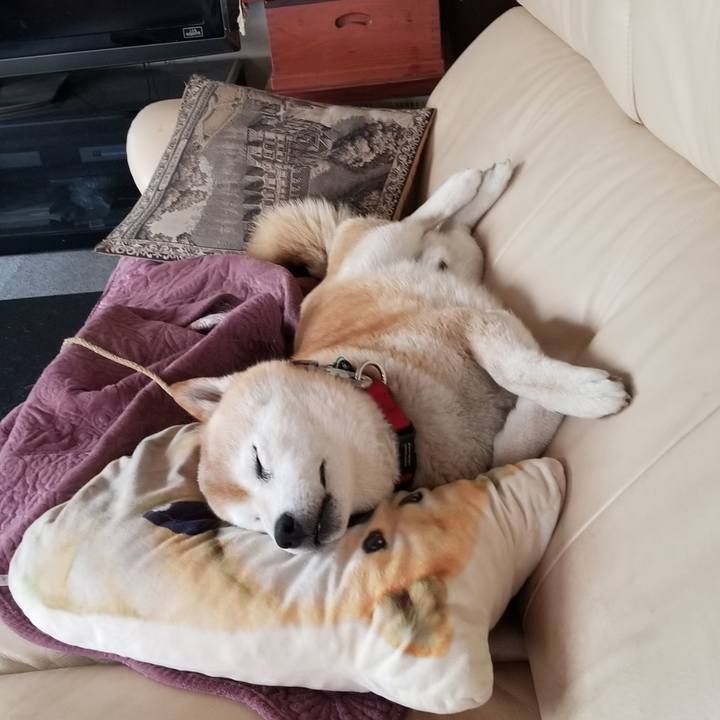 B1608b6f b0b0 4735 95e9 b110e4b7d5fc 1717123766918