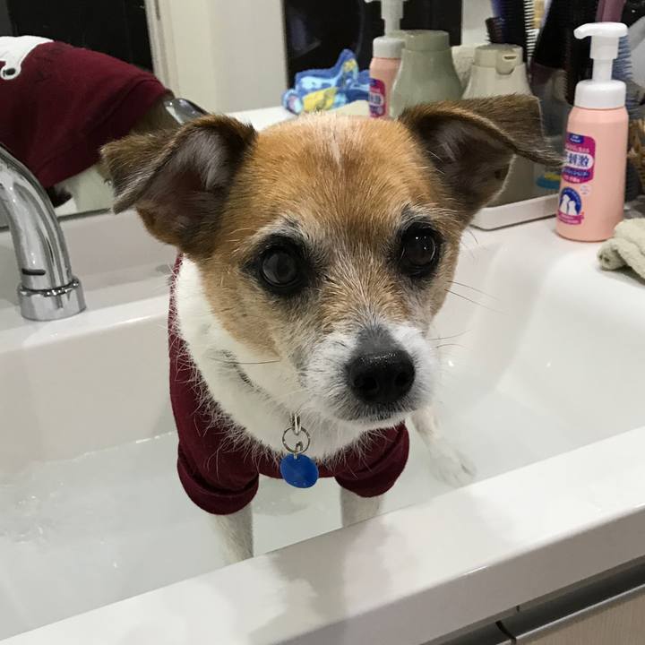 B160a5ea 3faf 4e1d 8eec de38b50764f1 1578201389562