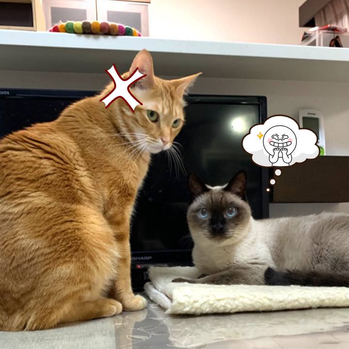 B160aa9d 1dfc 4d76 a1d0 521a37e10076 1574030819190