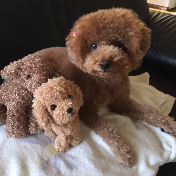 B160b27d 353d 4af4 946b 9968e0bfae73 1591328245169