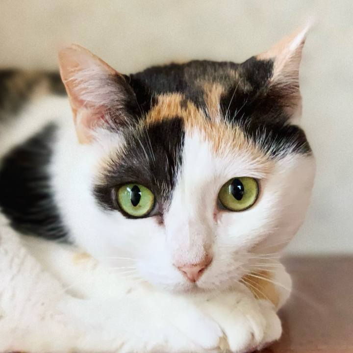 B16105f7 285e 4a0c 9396 06e9e85689b7 1596850932128