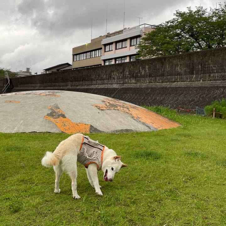 B16109d3 7f11 4732 a7e0 d56bd9117497 1656321699995