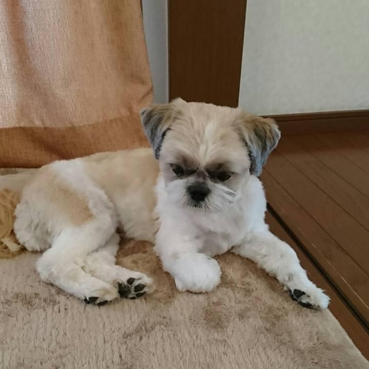 B1611718 62d9 4e51 9aac b39908b18f99 1524814818018