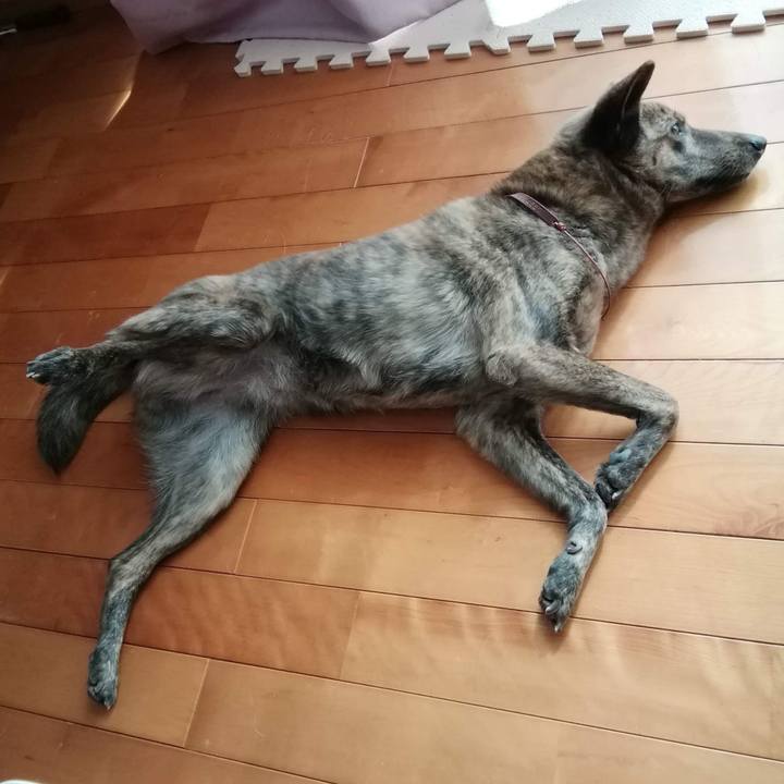 B1611b9d 0eda 47fa bc35 c8ce6f448322 1580615953419