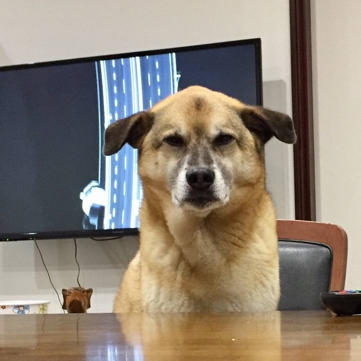 B1613201 636f 4408 b711 43dfb0810f79 1525859472281