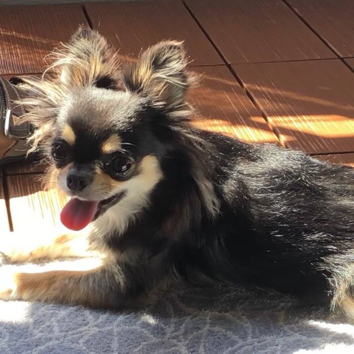 B161713e a1b1 46b9 a137 c0fc14559615 1568631585388