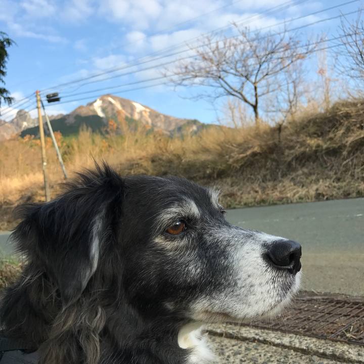 B1617945 2749 446a 9946 888ab2ce0e9d 1523230179827