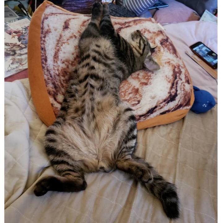 B1618e7a fd48 45e6 8b84 65ecbfd9a36b 1543209146848