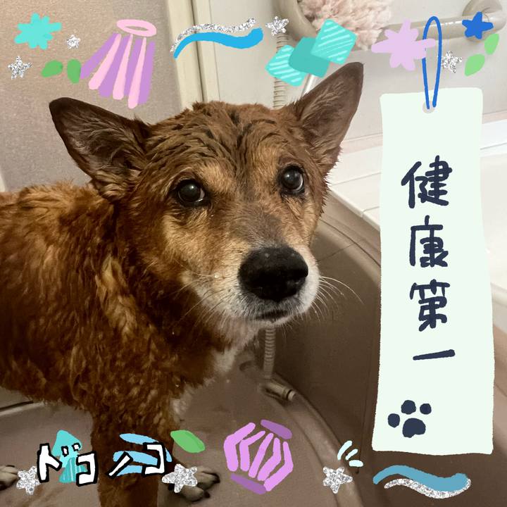 B1619662 455d 45d1 a085 22c49e09c329 1720918526056