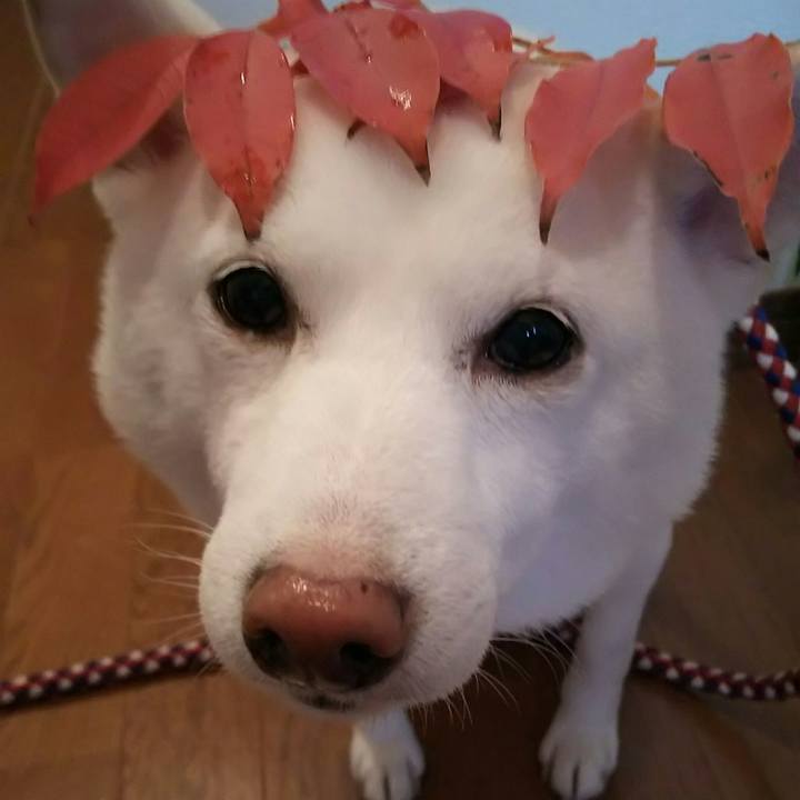 B161c089 eb63 4887 8988 c70227d1431d 1575433707448